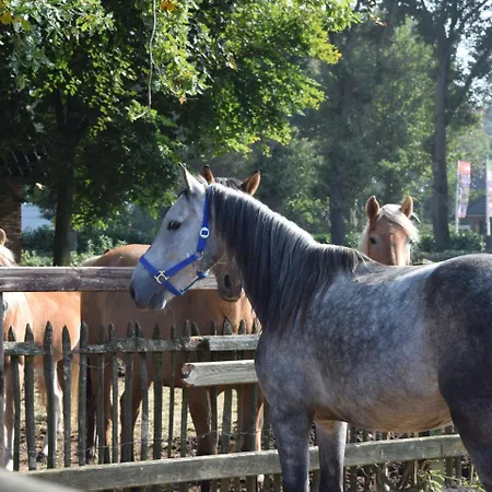 בית נופש Holiday Recreatiepark De Boshoek.15